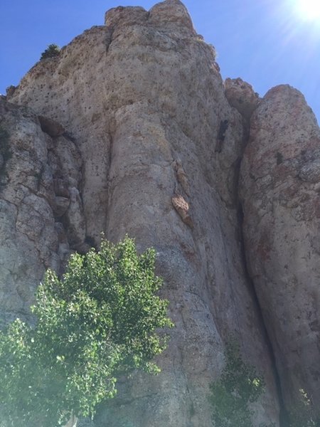 In the goods up high