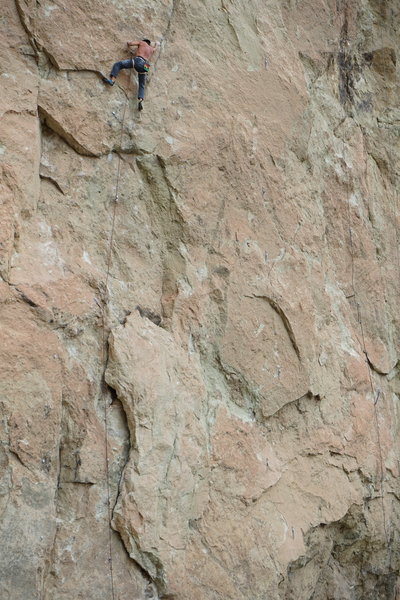 At the 8th bolt. Fell many times on that one. It's the lead crux for sure.