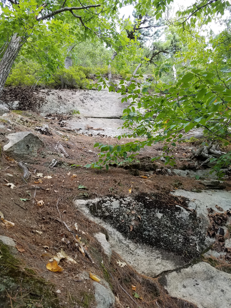 "Beginner's Route" is found at the top of a steep ramp covered in pine needles and dirt. Use the rocky outcropping at left to help get up here.