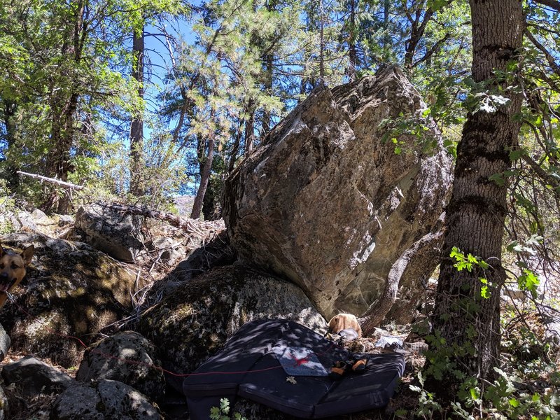 Convocation Boulder