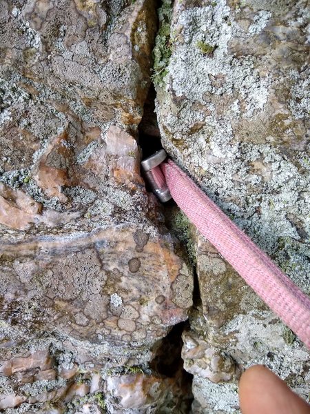 A pink tricam at Moore's!?