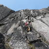 Climbing Lichen or Not