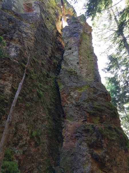 The dead tree points up the route. Climb the face to anchors on top.