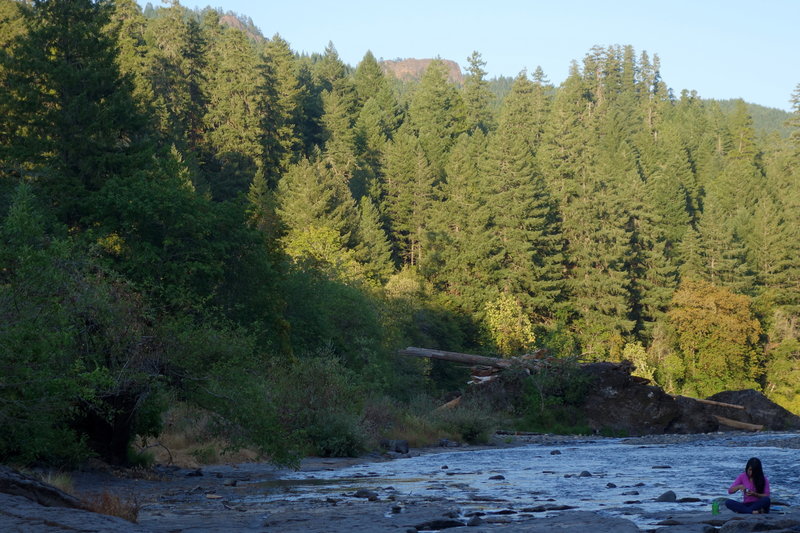 North Umpqua River, North and South Combs visible above treeline