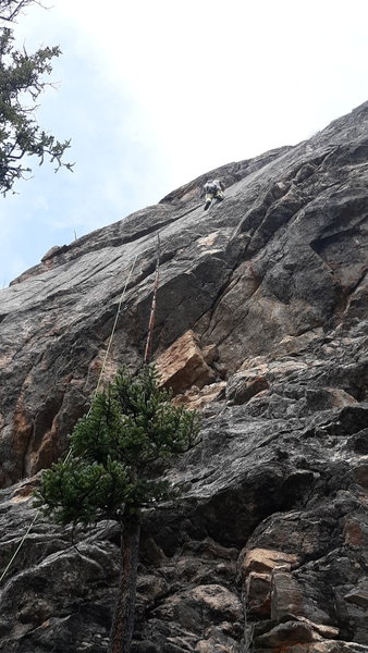 Scott Eden about to enter the finger crack finish to Held Under.