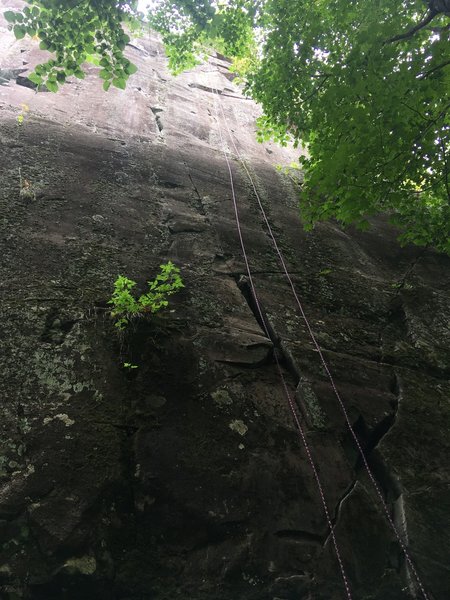 Rope hanging from the anchors to the bottom of the route. Where it goes from light to dark is the slopey ledge.