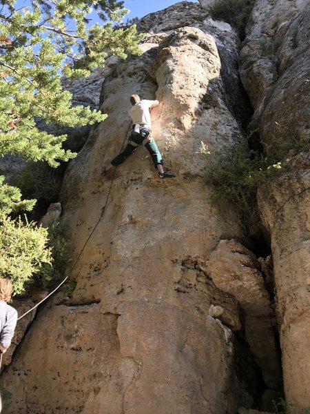 Knox on lead