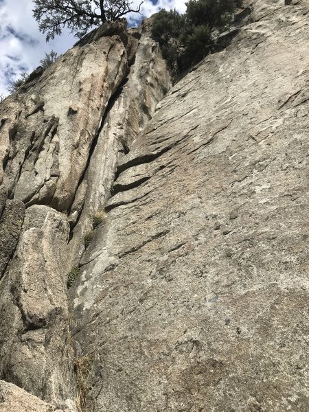 Owl Dihedral
