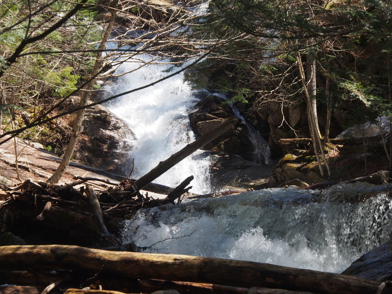 Falls (Stairs, Swiftwater, unnamed?...I think you only see these from the bushwhack on uphill-left of the river) on Falling Waters Trail, Franconia Notch NH (taken from up-hill-left-side of river)