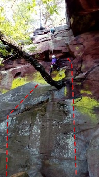 Start left of tree for easier start. Start under and just right of tree for slightly more difficult start. Then find any of a myriad of ways to the anchors on the face.