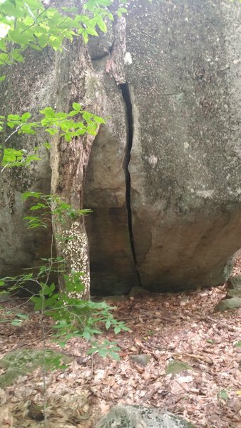 Nice hand and fist crack at Area 51. Keeps going to the top of the boulder out of the shot. There are a bunch of other good easy and moderate cracks in this area.
