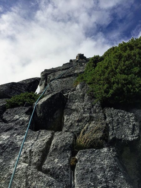 Start of Artic Rose, Half Moon Crag