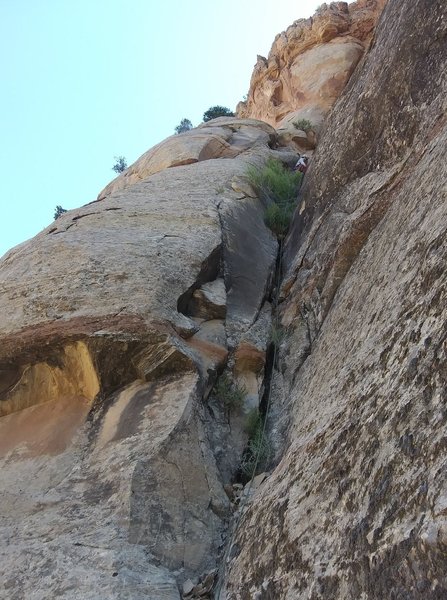 Pip near the final section.
