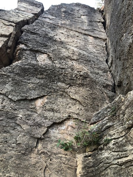 A view from the base.