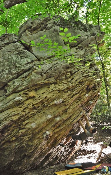 Jesse on the incredible holds of "Jack Links"
