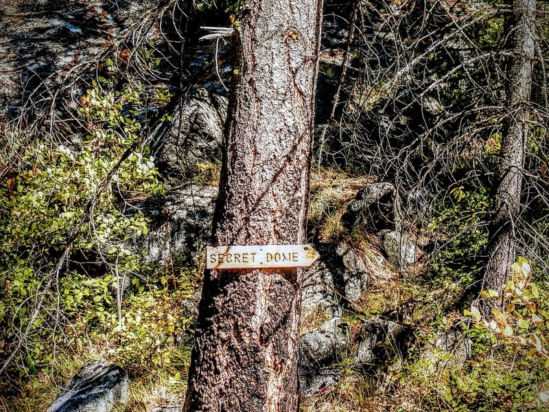 Shhh... It's a secret.