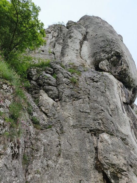 Rock Climbing in Dolina Kobylańska, Krakow - Czestochowa upland. AKA ...