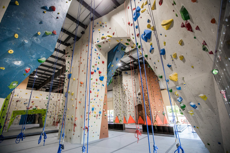 10,000 sqft of climbing surface, Auto Belays, Top Rope, Lead Arch, Top Out Boulder, Training Area and more.