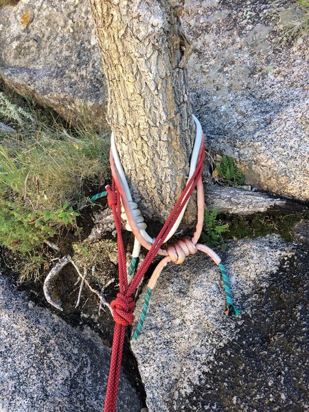 Tree belay/rap at the top of Pitch 1 (9/18/2019)