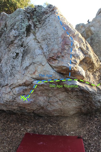 The Ape climbs