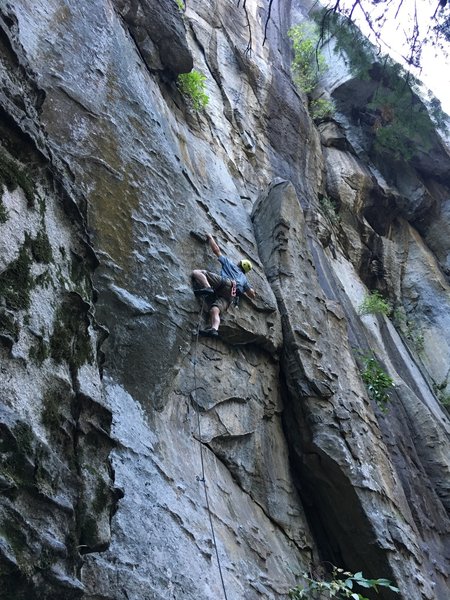 Elliot Lozano leading Jungle Arms