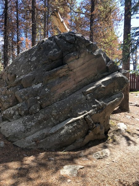 South face