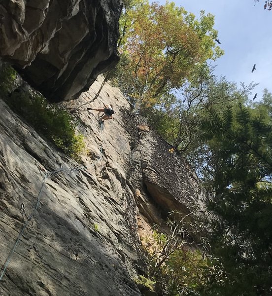 Mary lichen it!
<br>
First lead