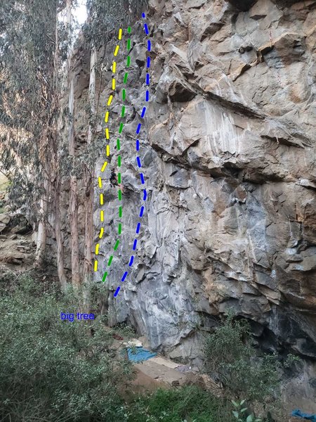 the large tree is the one with 3 trunks, the boulder is just under and to its left. the 5.10 climbs start there.