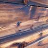 Weathered wood at the Mohawk Mine, Central Nevada