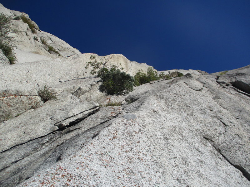 The mildly junky start shared with the Standard Thumb. Traverse left for Standard Thumb, or continue straight up here towards the jungle beneath Coyne Crack for S-Crack.