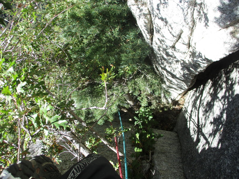 This was arguably the crux of P2 for me. Passing the pine tree to get into the chimney was a beast!