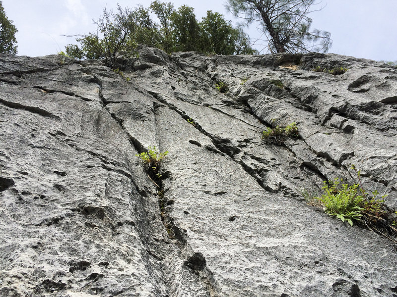 Top of Hunger Of The Pine. It's steeper than it looks for sure. Very, very nice stone. Goes up the obtuse corner.