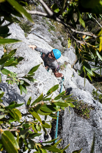 Makenzie Henk following the First Ascent of Hunger Of The Pine.