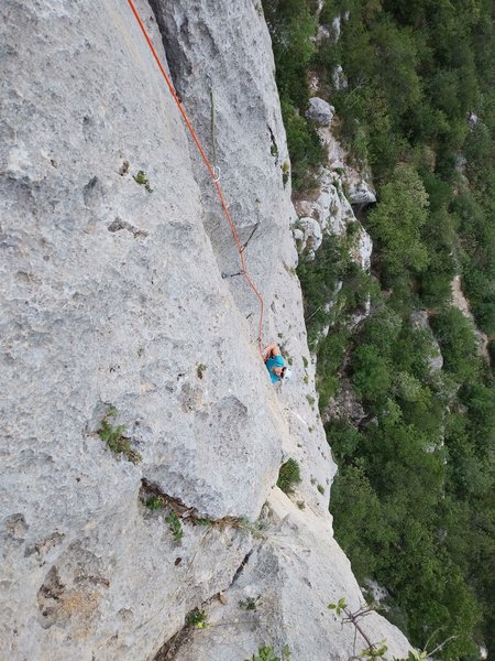 Mariangela pitch 3 dihedral.