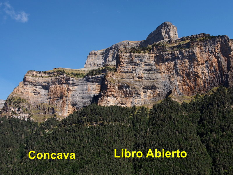 Concava and Libro Abierto