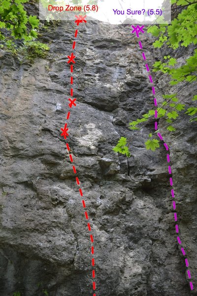 Drop Zone (5.8) left and You Sure? (5.5) right