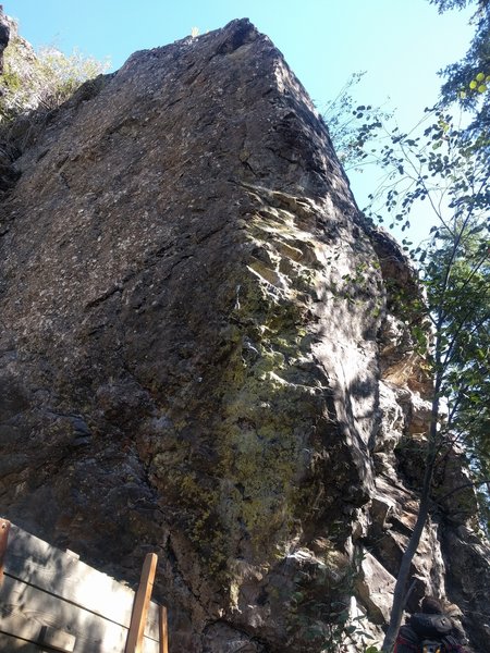 Yellow starts just up the gully and follows the bolt line beginning immediately left of the yellow rock.