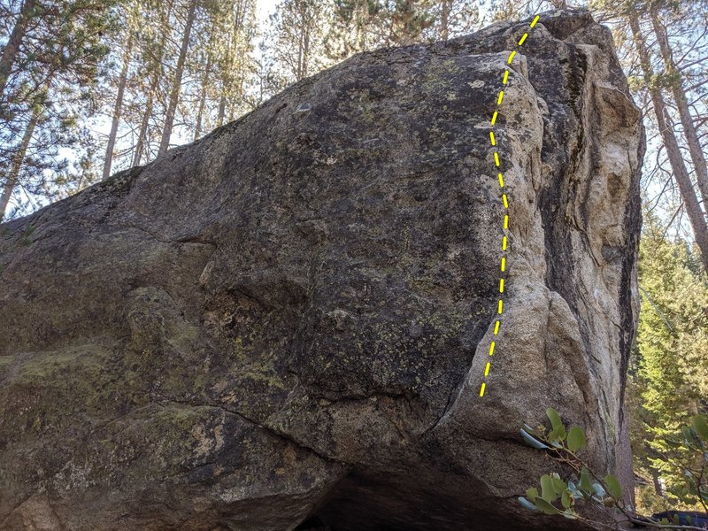 Unnamed V1
