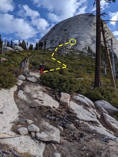 View of the base of Snake Dike after exiting the treeline.