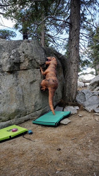 Rexy warming up the T-Rex arms