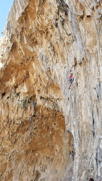 Snapping a nice aerial photo of the neighboring climber on Kalypipe while lowering off carpe diem.