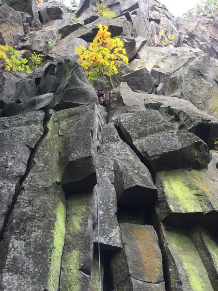 First pitch of Hanging Gardens. This 5.8 variation goes direct to bolted anchors just left of the tree.