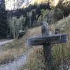 Easily recognized Wasatch trailhead, where it splits from the Bear Creek trail.  This is about 50 minutes from town.