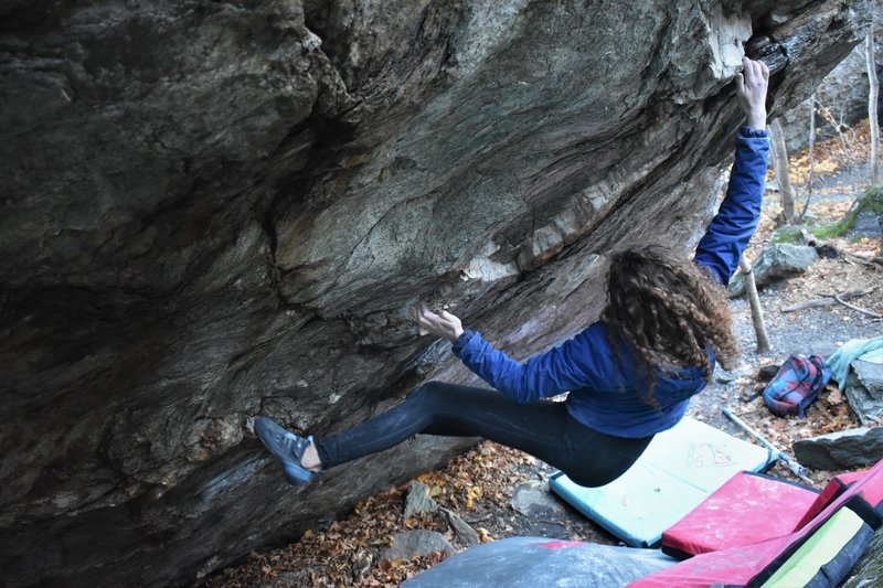 Chloe latching the crux toss for the gaston.