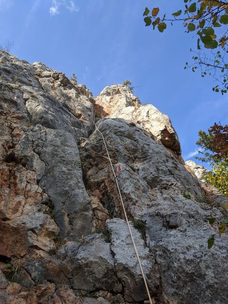 Following pitch 1