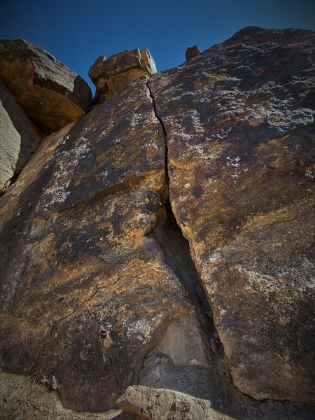 Angled view of Sacred Cow