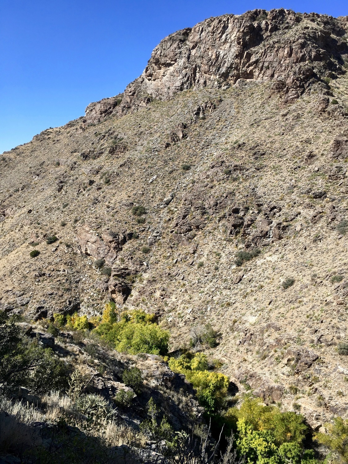 Fall in Lower Juan Tabo Canyon
