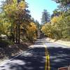 Jenks Lake Road, San Bernardino Mountains