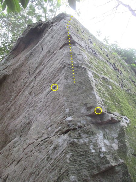 No Surprise (V1)