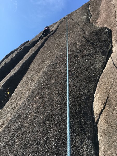 Josie TRing on 'A dog's life." The start is 10 feet left of the top of P1 Japanese Gardens. P2 of JG is the curving crack on the right.